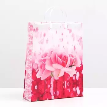 Пакет "Бэлла", мягкий пластик, 42 x 32 см, 120 мкм