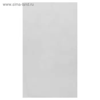 Пакет без липкой ленты 10 х 20 см, 25 мкм