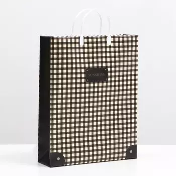 Пакет "Бежевая клетка", мягкий пластик, 42 x 32 см, 120 мкм