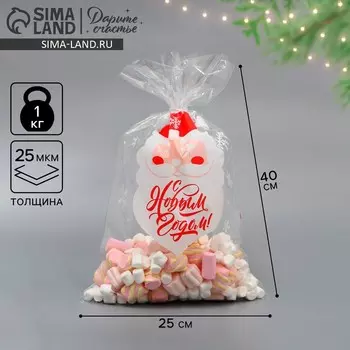 Пакет БОПП «Дедушка Мороз», 25 х 40 см