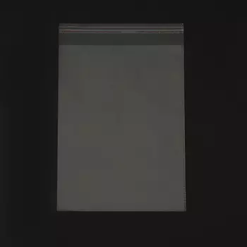 Пакет БОПП с клеевым клапаном 17 х 22/4 см, 25мкм