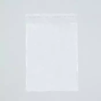Пакет БОПП с клеевым клапаном, прозрачный, для фасовки и упаковки, 2026/4 см, 30 мкм