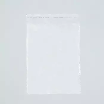 Пакет БОПП с клеевым клапаном, прозрачный, для фасовки и упаковки, 2026/4 см, 30 мкм