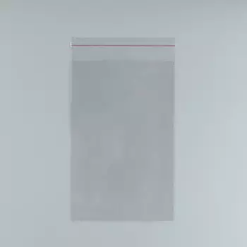 Пакет БОПП с клеевым клапаном 20 х 30/4см, 20мкм