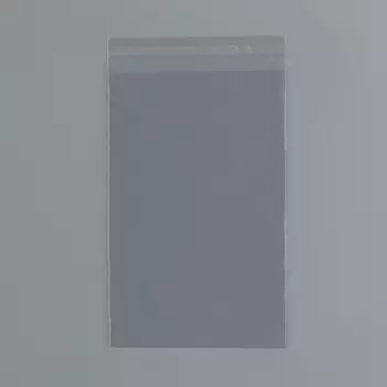 Пакет БОПП с клеевым клапаном 20 х 33/4 см, 25 мкм