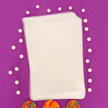 Пакет БОПП с клеевым клапаном 22 х 30 +4 см, 25 мкм