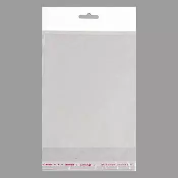 Пакет БОПП с клеевым клапаном, прозрачный для фасовки и упаковки, 1418/4 см, еврослот, 25 мкм