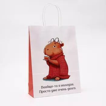 Пакет бумажный, «Молодая», 2410.532 см 1 шт.