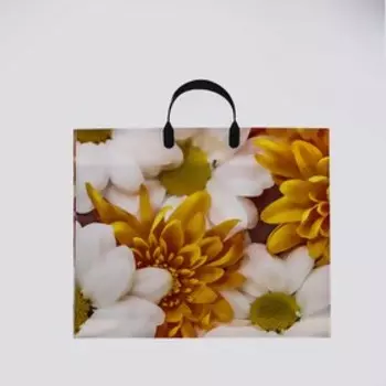 Пакет "Дейзи", полиэтиленовый с пластиковой ручкой, 38 х 35 см, 100 мкм