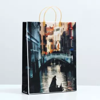 Пакет "День в Венеции", мягкий пластик, 42 x 32 см, 120 мкм