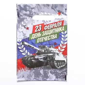 Пакет "День Защитника Отечества", полиэтиленовый с вырубной ручкой, 20х30 см, 30 мкм
