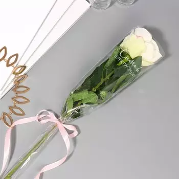 Пакет для цветов «Самой прекрасной», 12.5445 см
