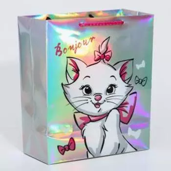 Пакет голография горизонтальный "Bonjour", Коты Аристократы, 25 х 21 х 10 см