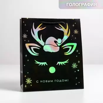 Пакет голография вертикальный «Новый год», ML 23 27 11,5 см