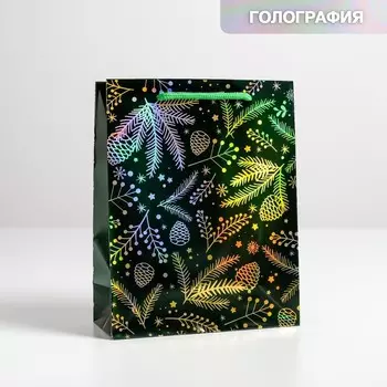 Пакет голография вертикальный «Шишки», MS 23 × 18 × 10 см