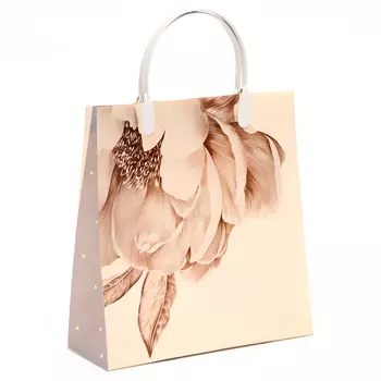 Пакет "Грация", 140 мкм, мягкий пластик, 24 х 25 х 9 см