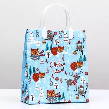 Пакет подарочный новогодний «Холодок», мягкий пластик, 22.525.5 см