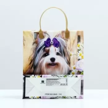 Пакет "Йорк", мягкий пластик, 26 x 23 см, 110 мкм