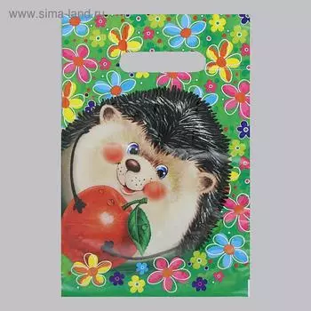 Пакет «Ёжик», полиэтиленовый с вырубной ручкой, детский, 30 мкм, 2030 см