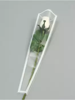 Пакет конус для цветов, «Кайма», 12.5445±1 см, белый