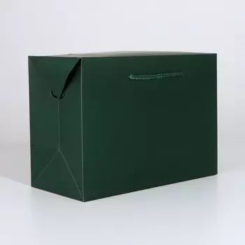 Пакет—коробка «Изумрудный», 28 20 13 см