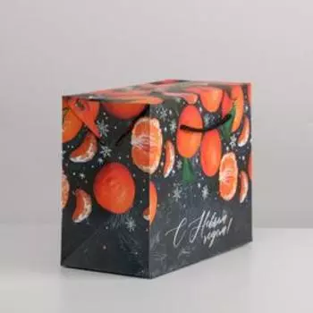 Пакет-коробка новогодний «Мандарины», 23 х 18 х 11 см