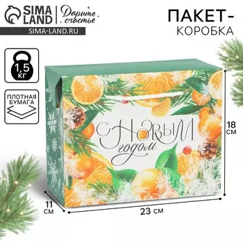 Пакет-коробка новогодний «Снежная история», 23 х 18 х 11 см