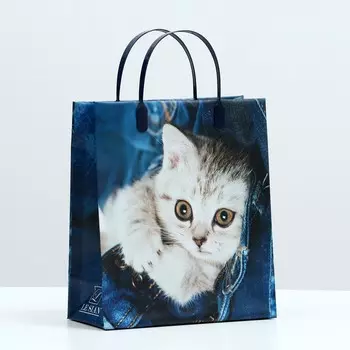 Пакет "Котенок на джинсах", мягкий пластик, 26 x 23 см, 110 мкм