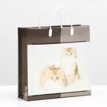 Пакет "Котята", мягкий пластик, 30 x 30 см, 100 мкм
