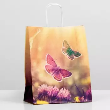 Пакет крафт "Бабочки в поле", 22 х 12 х 27 см
