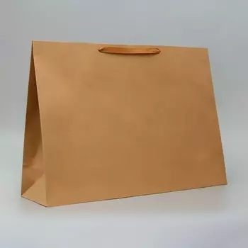 Пакет крафт без печати, 705020 см 210 г