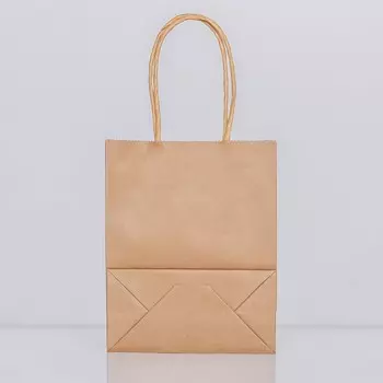 Пакет крафт без печати, круглая ручка, 15116 см, 120 г