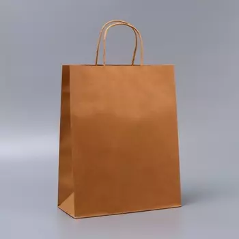 Пакет крафт без печати, круглая ручка, 261233 см, 120 г