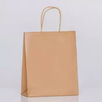 Пакет крафт без печати, круглая ручка, 272111 см, 120 г