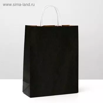 Пакет крафт черный, белая ручка22 х 13 х 32 см