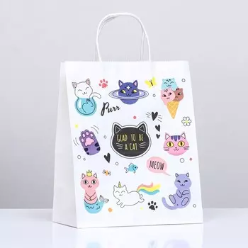 Пакет крафт «Коты», 221227 см, крученая ручка, 1 шт.