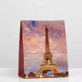 Пакет крафт "Париж", крученая ручка 22 х 12 х 27 см