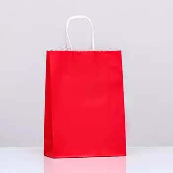 Пакет крафт «Радуга», красный, 18825 см, 80 г/м, 1 шт.