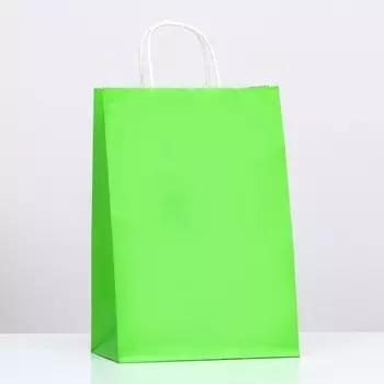 Пакет крафт «Радуга», травянной, 221332 см, 80 г/м, 1 шт.