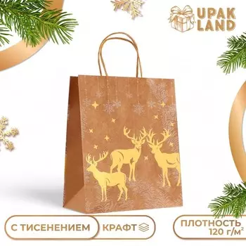 Пакет подарочный новогодний, крафт с золотым тиснением, круглая ручка, «Новый год» 332512 см, 120 г