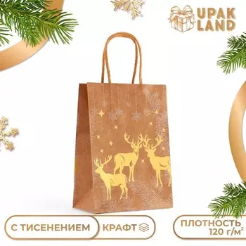 Пакет подарочный новогодний, крафт с золотым тиснением, круглая ручка, «Новый год» 15218 см, 120 г