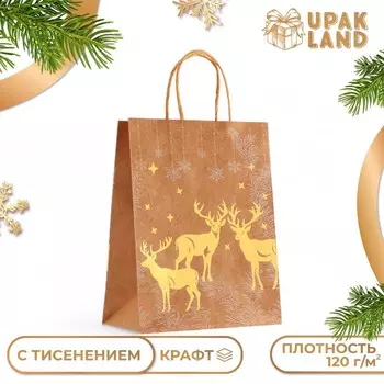 Пакет подарочный новогодний, крафт с золотым тиснением, круглая ручка, «Новый год» 212711 см, 120 г
