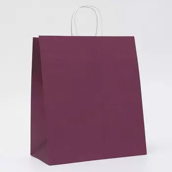 Пакет крафт сиреневый, круглая ручка, 3219.537 см, 120 г