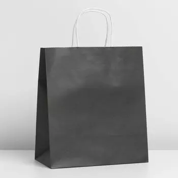 Пакет крафтовый «Black», 22 × 25 × 12 см