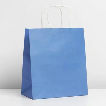 Пакет крафтовый «Blue», 22 × 25 × 12 см