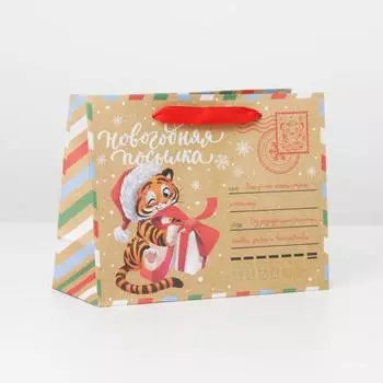 Пакет крафтовый горизонтальный «Новогодняя почта», MS 23 × 18 × 10 см