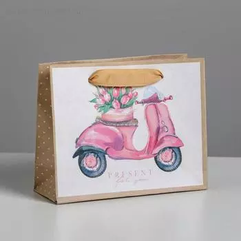 Пакет подарочный крафтовый, упаковка, «Present for you», 15 х 12 х 5.5 см