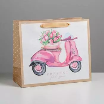 Пакет подарочный крафтовый, упаковка, «Present for you», ML 27 х 23 х 11.5 см