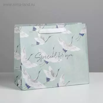 Пакет подарочный крафтовый горизонтальный, упаковка, Special for you, 27 х 23 х 11,5 см