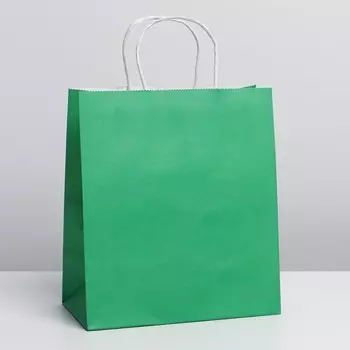 Пакет крафтовый Green, 22 × 25 × 12 см